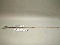 藏品(三鏃竹箭)的圖片